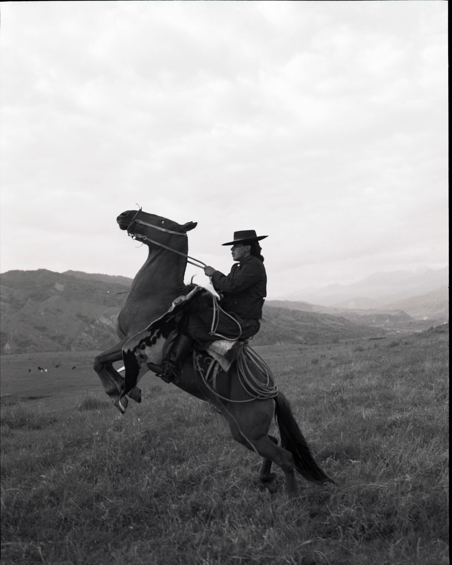 A black-and-white photo shows a man on horseback rearing up on its hind legs in a grassy field, with distant hills under an overcast sky.