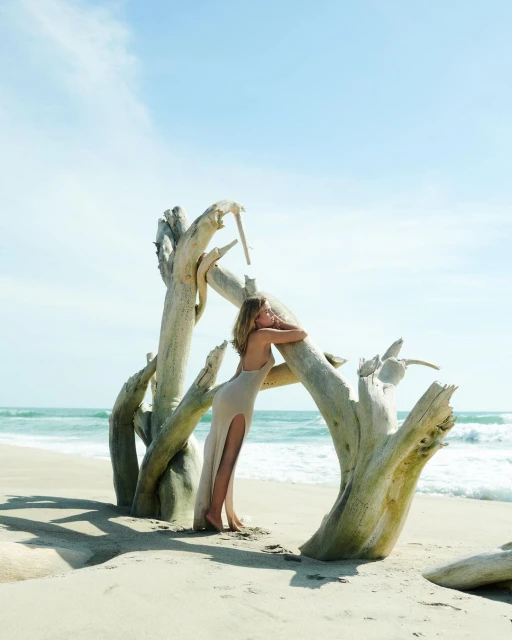 A woman in a dress leans against driftwood on a sandy beach with a view of the ocean and blue sky in a sunlit, outdoor setting.