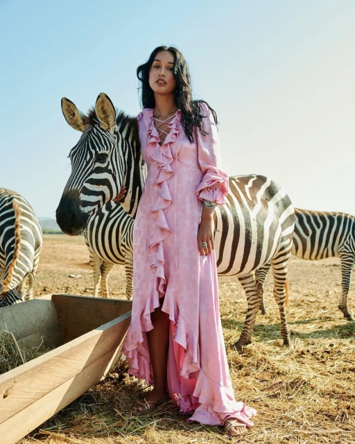 Woman in flowing pink dress stands next to a zebra with black and white stripes in a natural outdoor environment with blue sky.