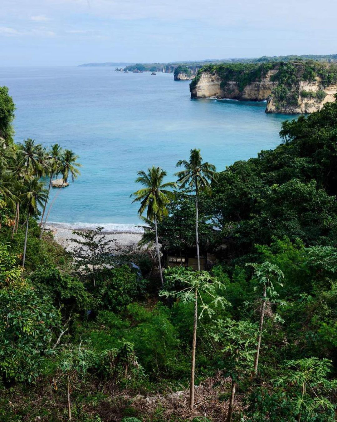 Scenic view of ocean with cliffs and lush greenery, tropical landscape with palm trees and blue waters, captured in a high angle shot.