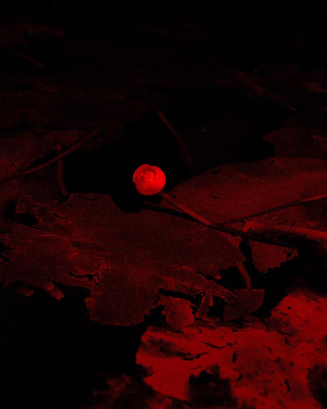 Low-angle shot of a red sphere against a dark, red-lit background suggesting an abstract or dramatic scene with intense color contrast.