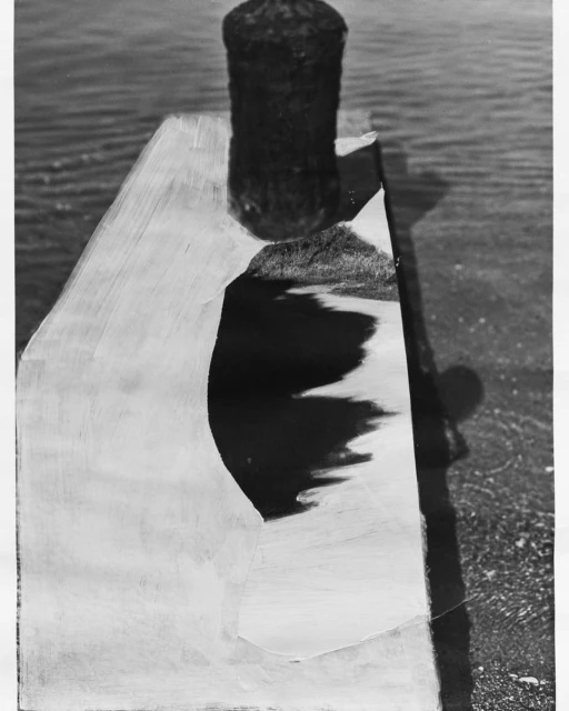Abstract black and white photo featuring water, a wooden post, and a reflective surface showing a landscape scene.