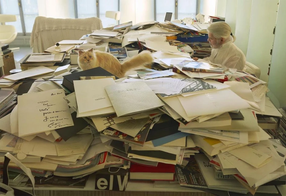 Adult male and cat among papers and objects in an indoor setting. Light mode. Interior. Editorial style.