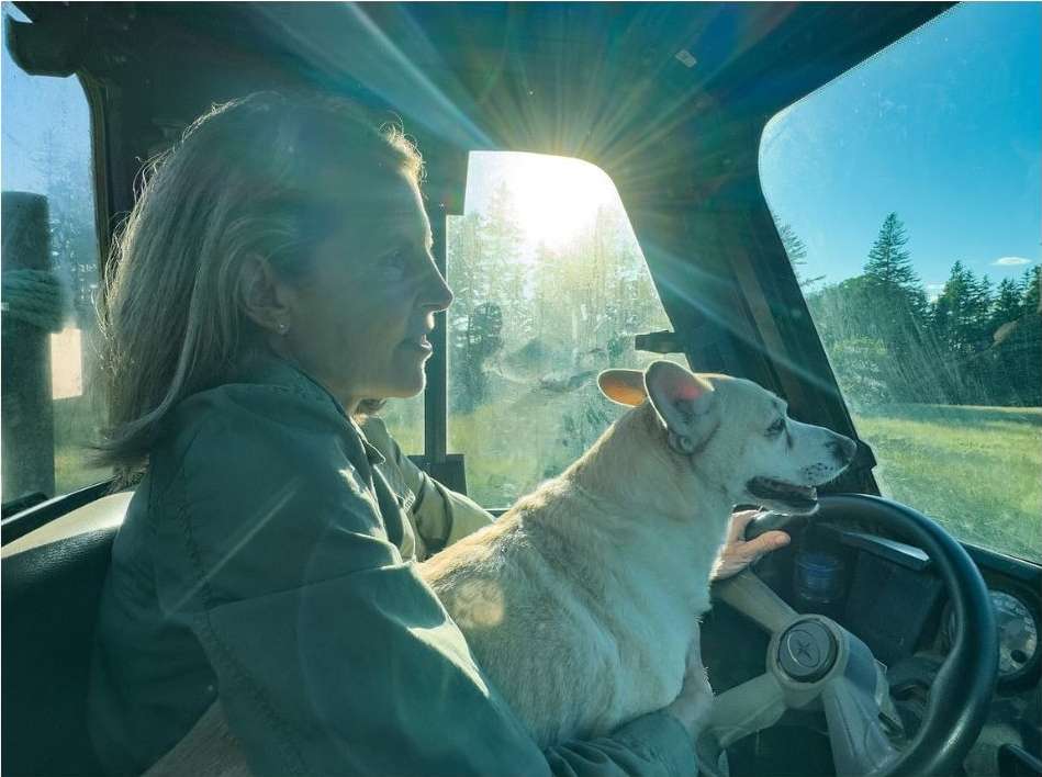 Woman and dog in the driver's seat of a utility vehicle, countryside backdrop, sun flare visible through the windshield. Casual, natural lighting.