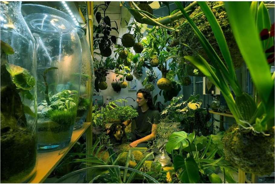 Indoor garden scene with a person, a dog, and many plants in pots and hanging planters creating a lush, green, indoor environment.