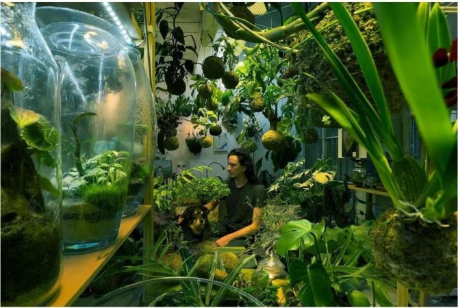 Indoor garden scene with a person, a dog, and many plants in pots and hanging planters creating a lush, green, indoor environment.