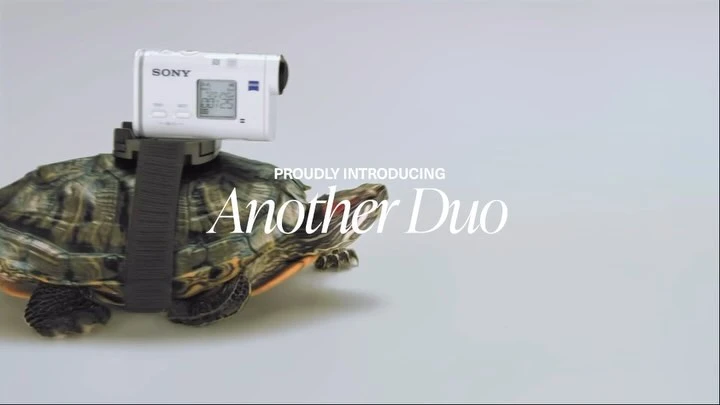 Turtle carrying a Sony action camera mounted on its shell, showcasing a unique perspective in a studio setting on a white background.