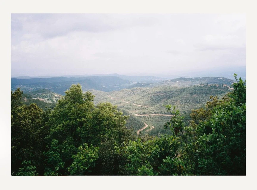 Scenic view of rolling green hills and distant mountains under an overcast sky, with lush trees in the foreground.