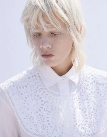 Ansgar Sollmann