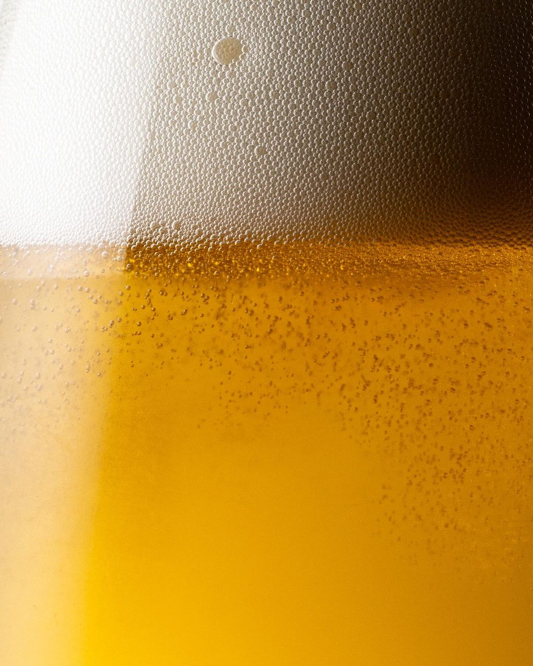 Close-up shot of a glass of amber-colored beer with dense white foam, showcasing the effervescence and texture of the beverage.
