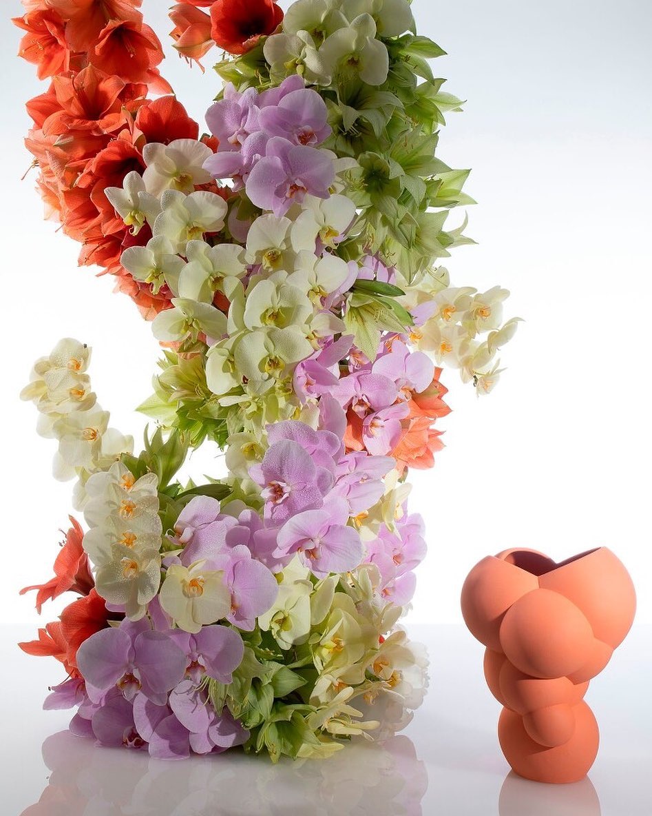 Still life arrangement of colorful orchids, gladiolus, and bellflowers in a coral vase, set against a bright white backdrop.