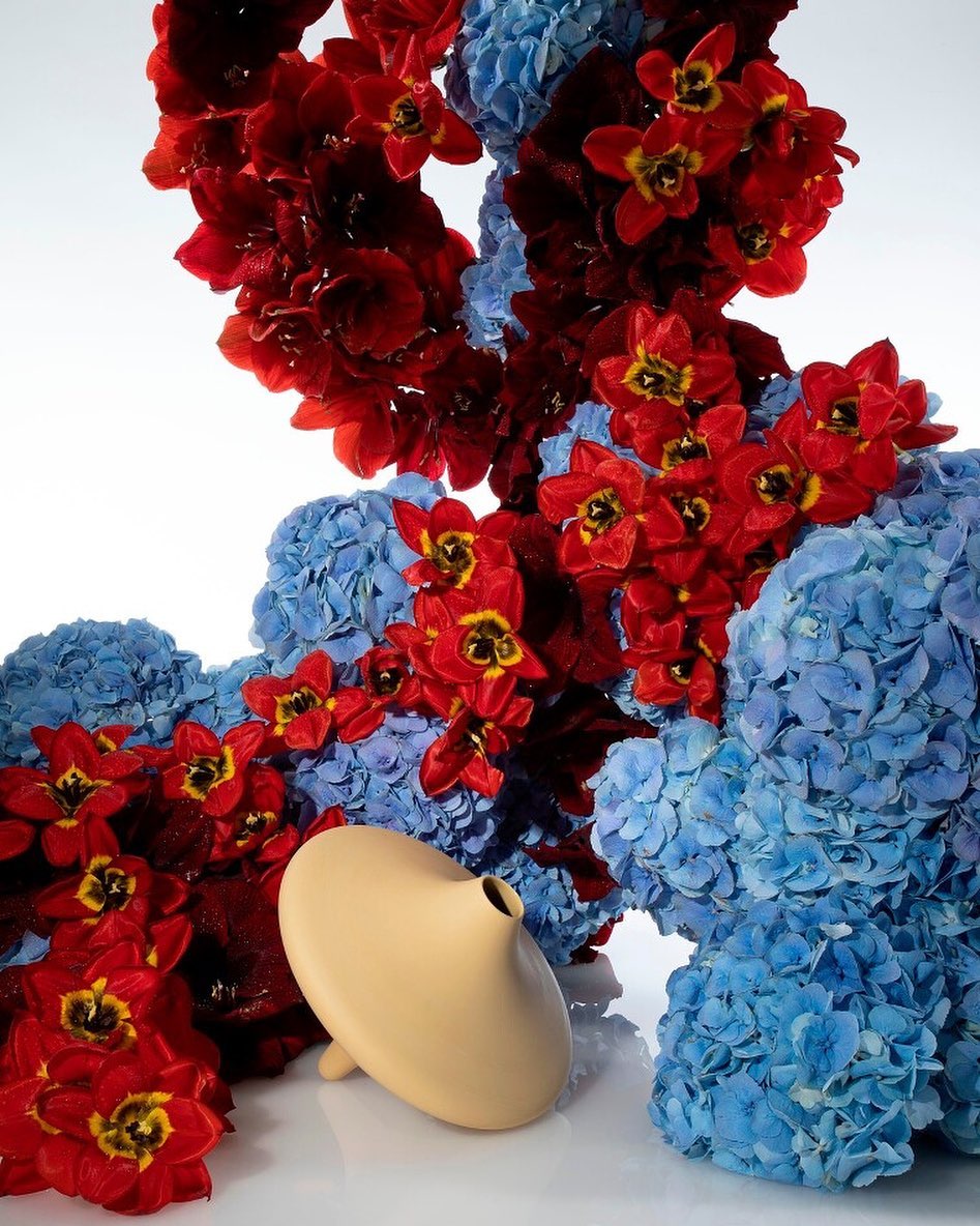 Still life of a beige vase with red tulips and blue hydrangeas on a white background, creating a vibrant floral arrangement.