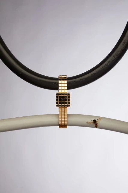 Gold wristwatch suspended between curved black and white pipes in a studio shot with a bee alighting on the white pipe.