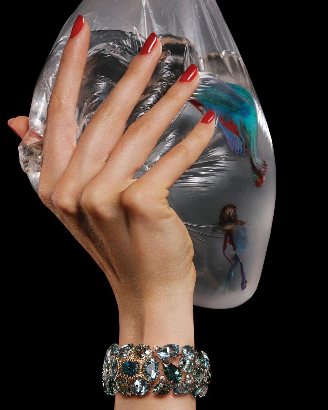 Elegant studio shot featuring a manicured hand holding a plastic bag with an exotic fish, adorned with a sparkling blue jeweled bracelet.