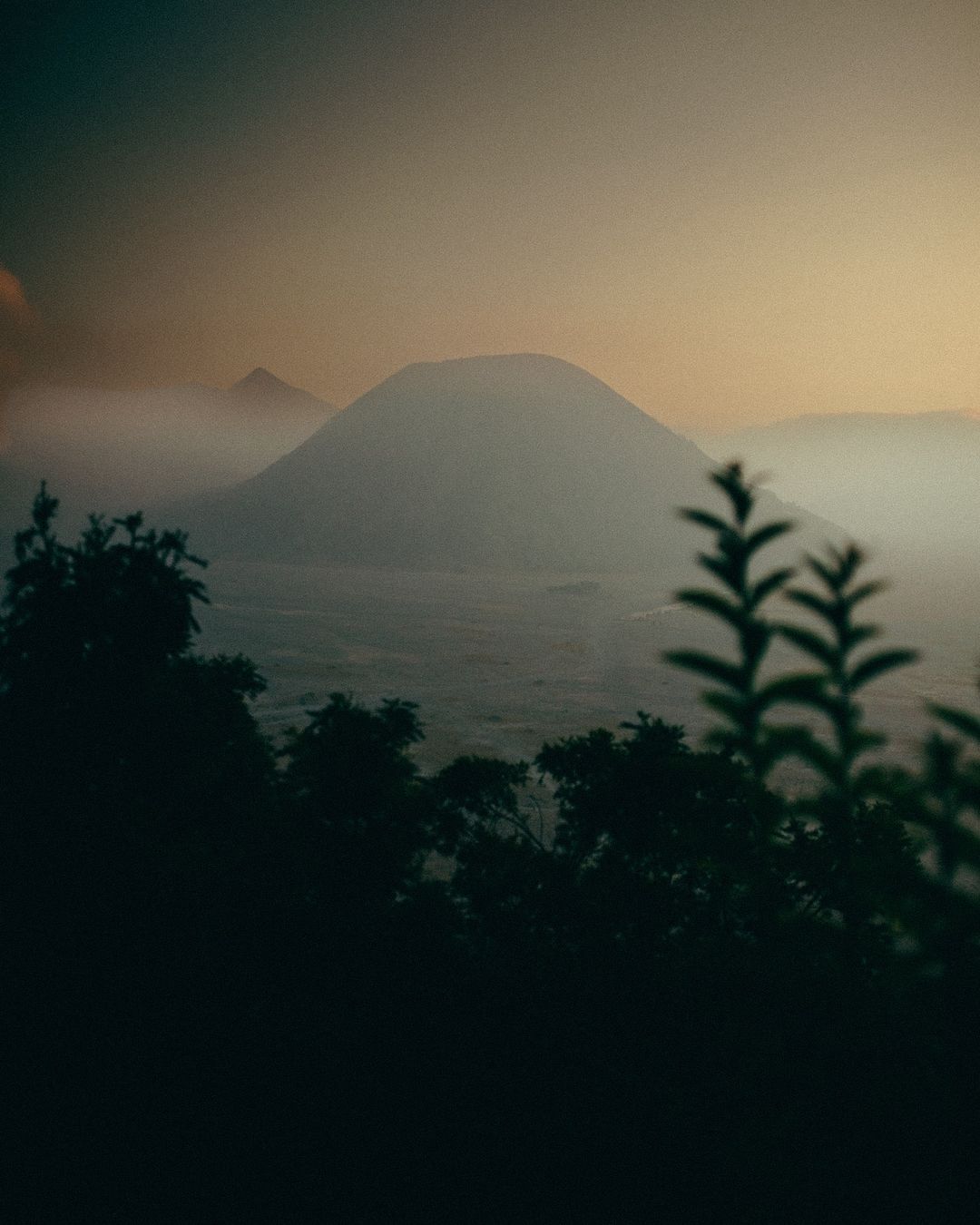 Scenic view of a fog-covered, cone-shaped mountain range at dusk, shrouded in mist with silhouetted foliage in the foreground.