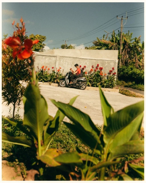 A person rides a scooter on a road lined with flowers and a gray wall, with lush greenery in the foreground under a cloudy sky.