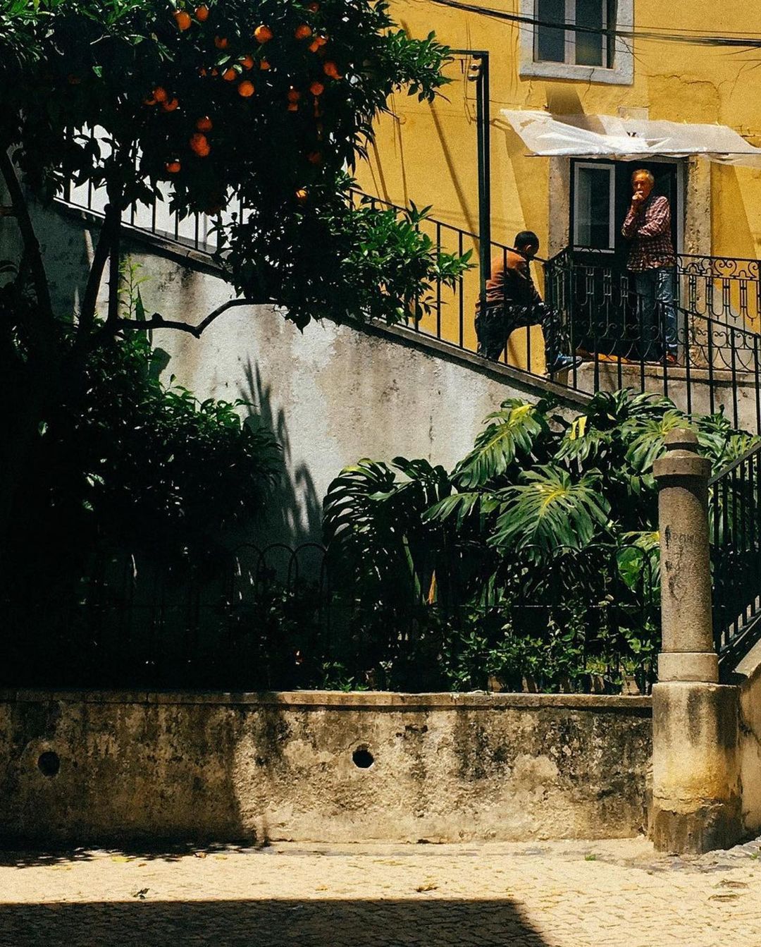 Two people standing on a balcony of a yellow building, with an orange tree in the foreground and cobblestone ground below.