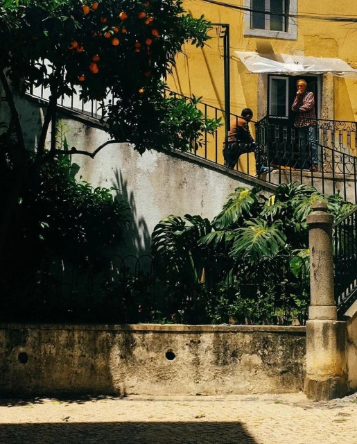 Two people standing on a balcony of a yellow building, with an orange tree in the foreground and cobblestone ground below.