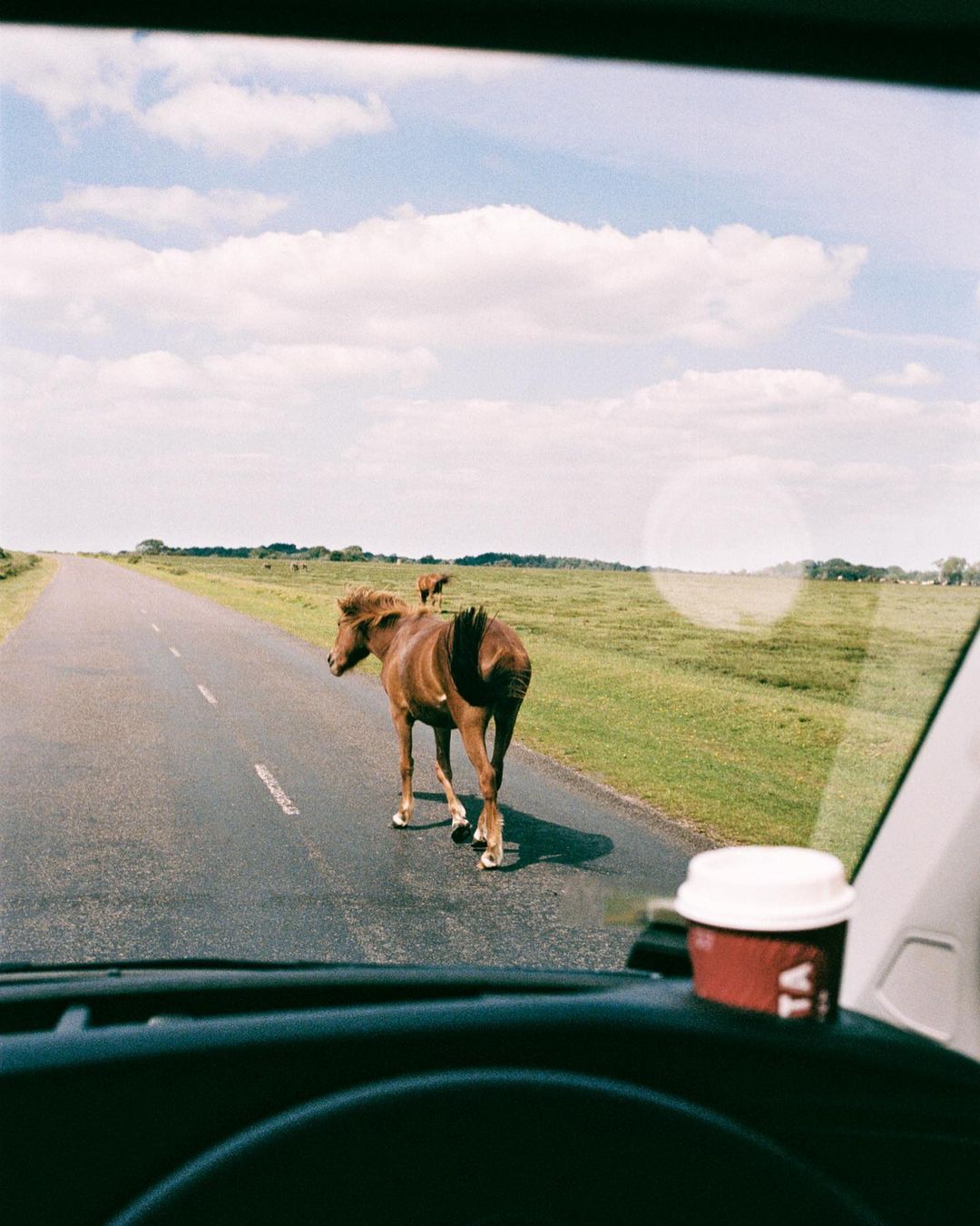 View from inside vehicle of brown horses walking on rural road with blue sky and clouds; coffee cup in dashboard.