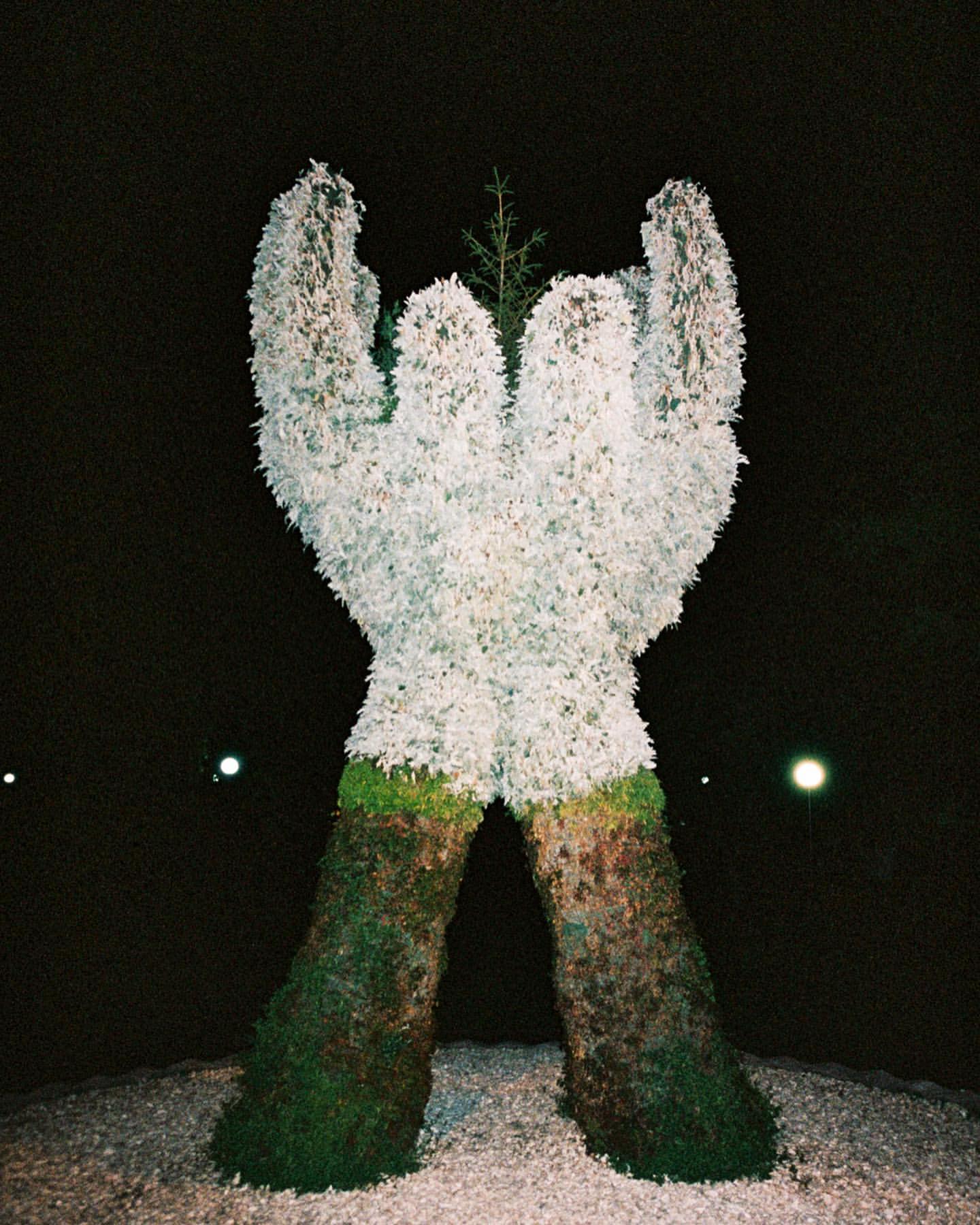 Topiary sculpture of hands supporting a small evergreen tree at night, set against a dark sky with distant lights.