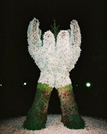 Topiary sculpture of hands supporting a small evergreen tree at night, set against a dark sky with distant lights.
