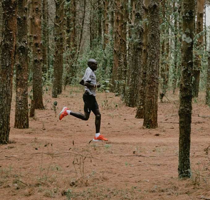 Male athlete runs through a forest of tall trees on a dirt path in a medium shot. He wears a grey shirt, black shorts, and orange running shoes.