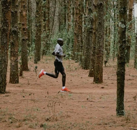 Male athlete runs through a forest of tall trees on a dirt path in a medium shot. He wears a grey shirt, black shorts, and orange running shoes.