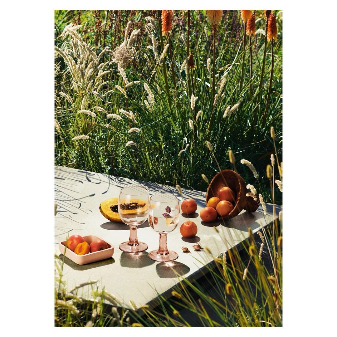 Still life photography of apricots, plums, cut papaya, and glasses on a gray table in a grassy outdoor setting with natural light.