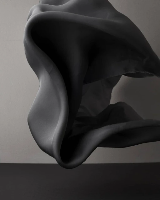 Abstract monochrome photo of flowing draped fabric with smooth, fluid forms and soft shadows against a minimal gray background.