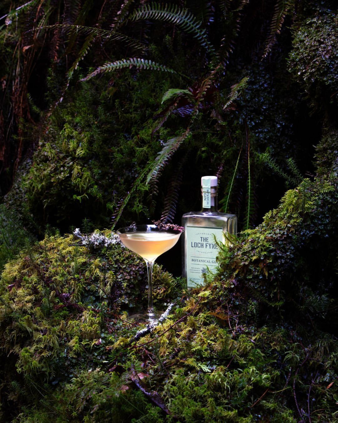 Botanical gin and a cocktail glass sit on moss in a forest setting, presented in a visually rich and captivating display.
