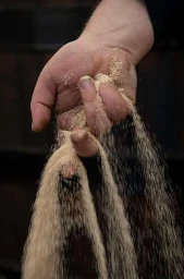 Close-up of a hand pouring fine golden sand or grain in a dark interior by photographer Armando Ferrari