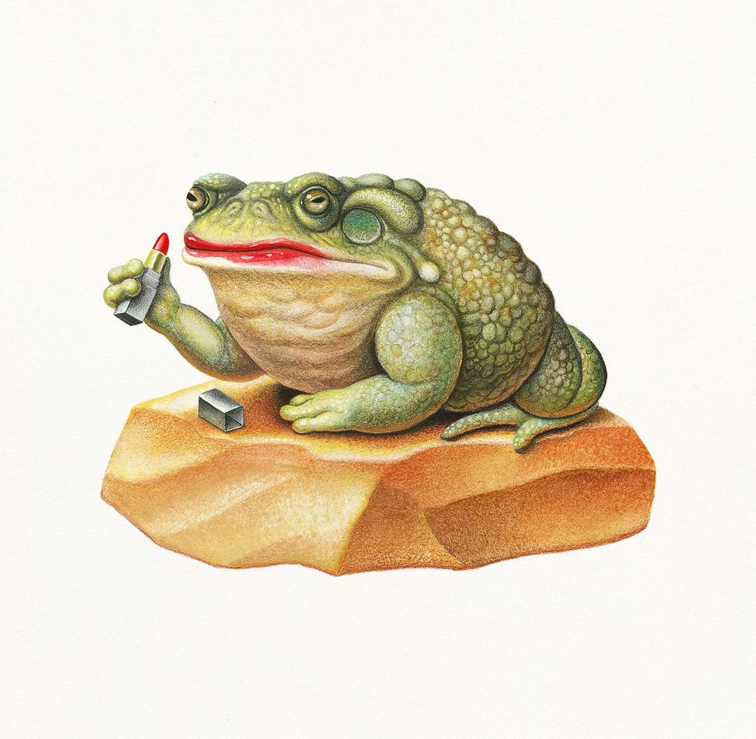 Illustration of a green toad seated on a rock applying red lipstick, showcasing beauty and wildlife elements in a whimsical art style.