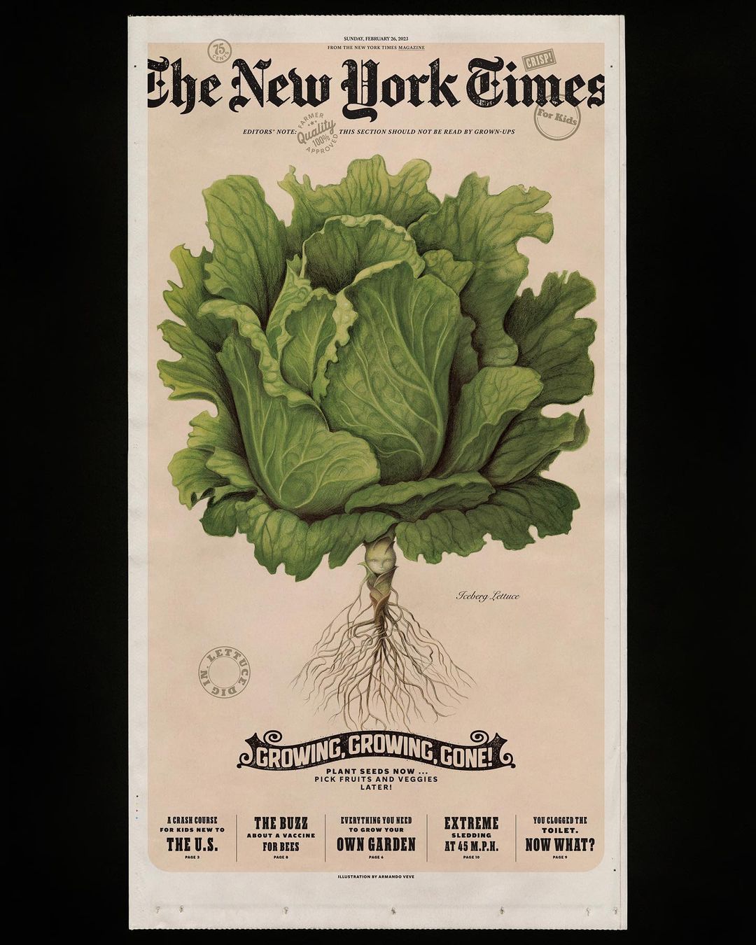 Illustration of a green leafy lettuce head with roots on a vintage-style New York Times cover, promoting gardening and fresh produce.