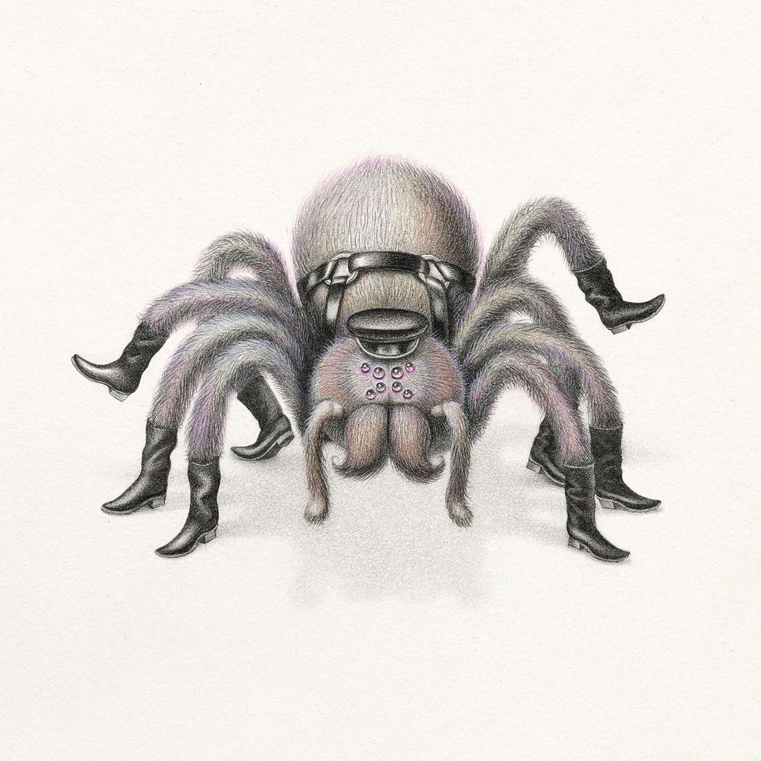 Illustration of a spider wearing a black cap and black boots on each of its legs against a white background.