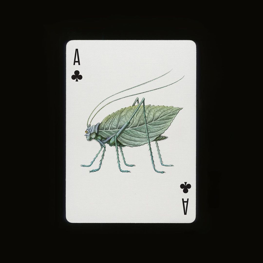 Ace of Clubs playing card featuring an illustration of a green insect with a leaf-shaped body on a black background.