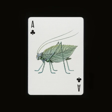 Ace of Clubs playing card featuring an illustration of a green insect with a leaf-shaped body on a black background.