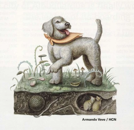 Armando Veve