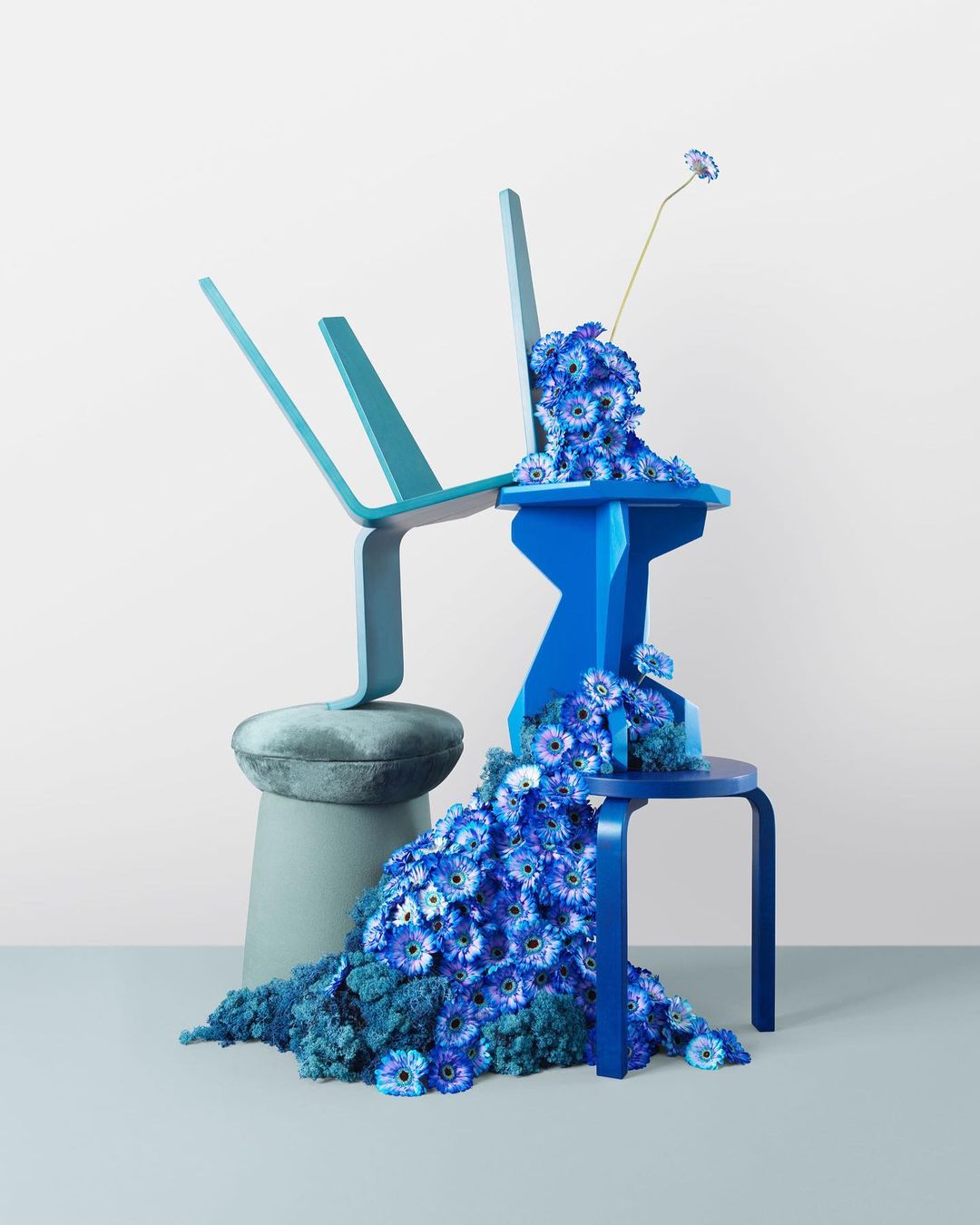 Still life composition featuring blue chairs, blue flowers, and a gray stool against a pale background in a studio setting.