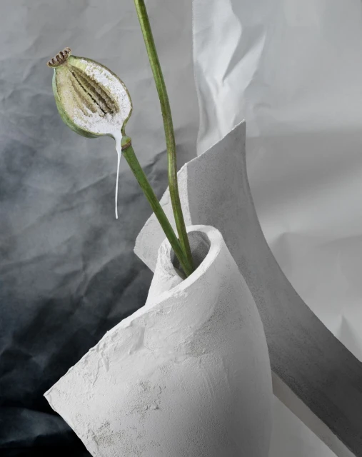 Dramatic still life with a cut poppy seed pod in a white sculpted vase on a textured gray and white gradient background, studio lighting.