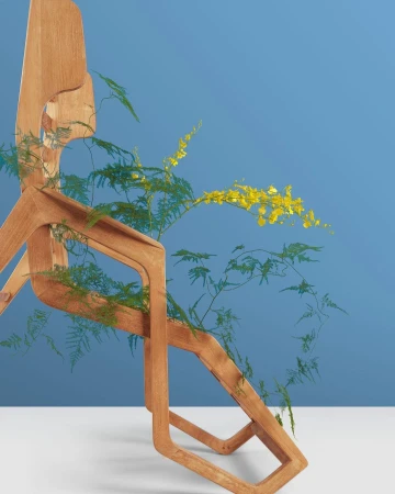 A sculptural wooden chair intertwined with green fern fronds and delicate yellow flowers against a two-tone blue and white studio backdrop.