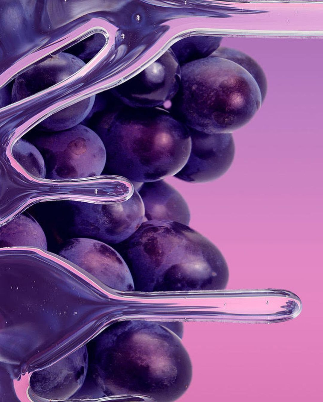 Close-up of fresh dark grapes suspended in clear liquid with light pink backdrop, creating a visually appealing food still life.