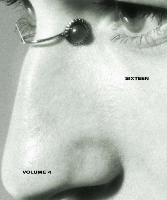 Close-up of a human face, predominantly in shades of gray. An ornate metal adornment is attached near the eyebrow, eye, and lashes.