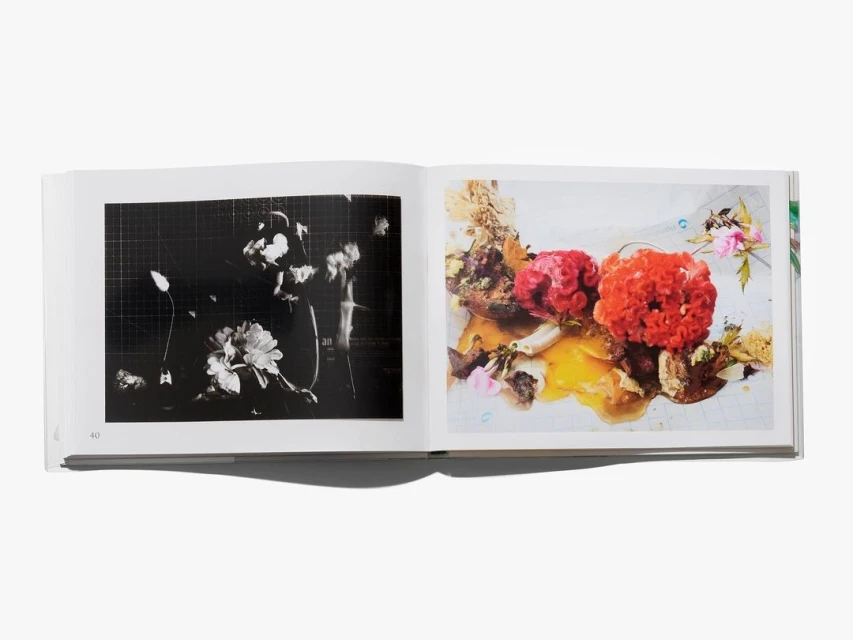 Opened book showcasing two contrasting floral arrangements: a monochrome, minimalist arrangement and a colorful, vibrant display.