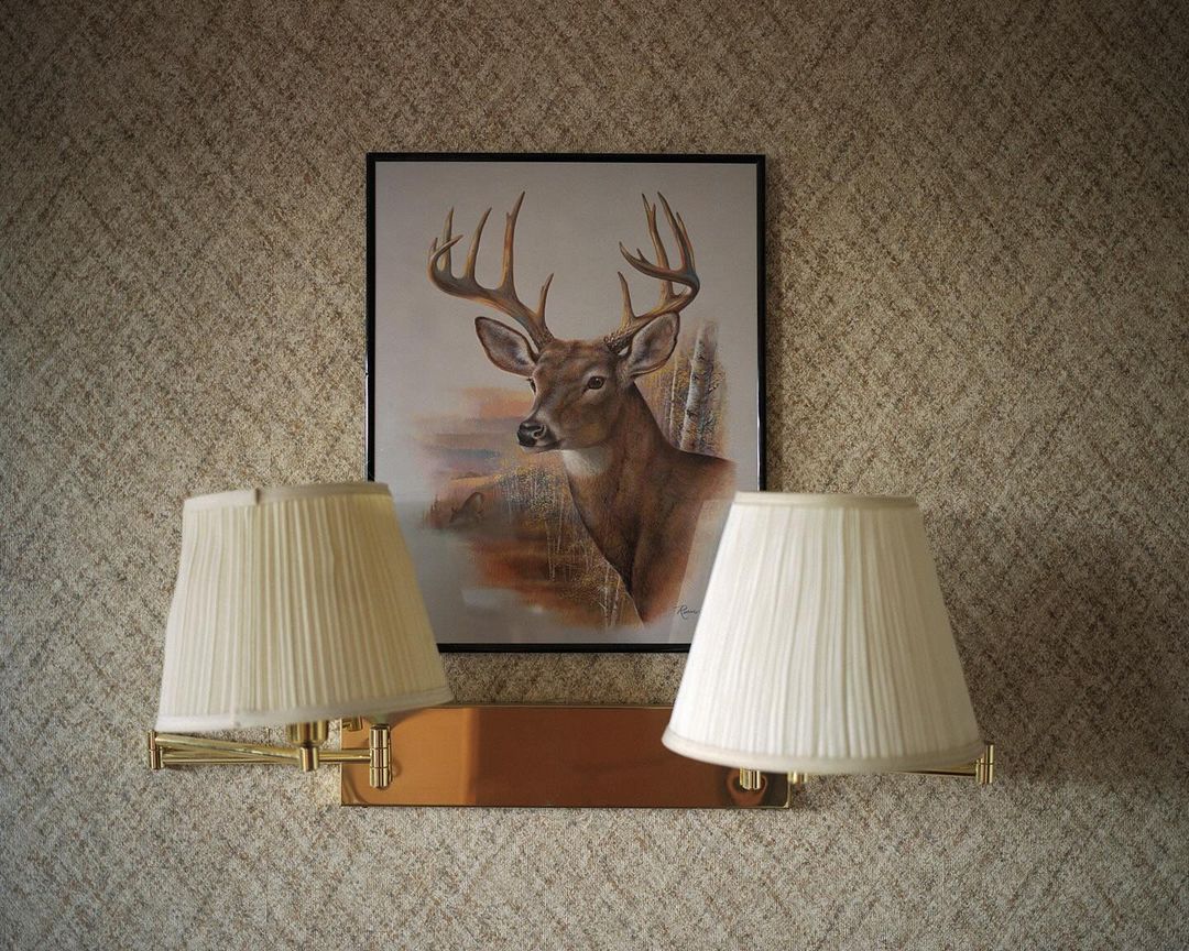 Wall art features a deer painting above a gold sconce with two lamps with tan, pleated shades against textured beige wallpaper.