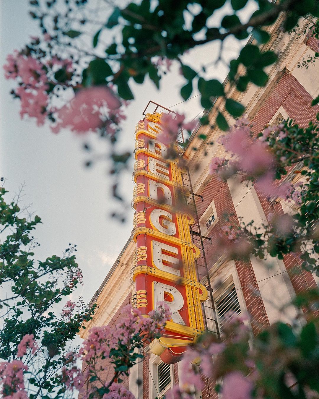 A vintage theatre sign reading "SPENCER" is partially framed by pink flowers and lush green leaves against a brick building exterior.