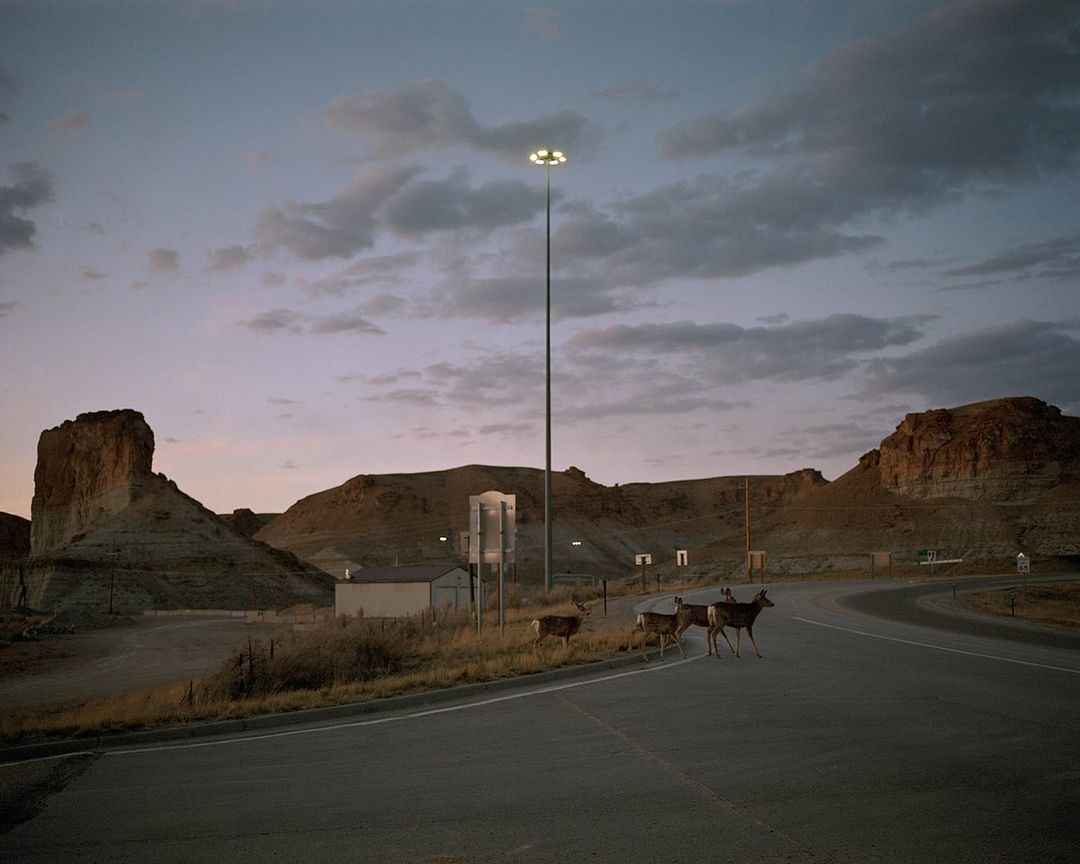 Several deer cross a road in a rural landscape with rock formations and a streetlight under a cloudy, dusky sky at twilight.