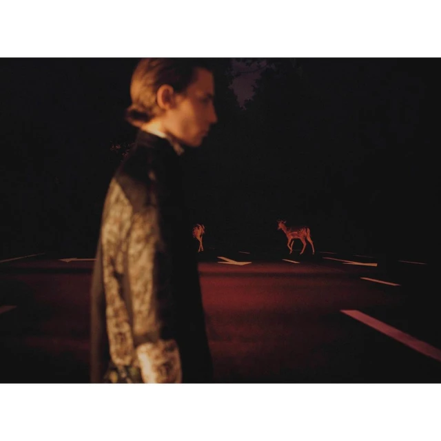 Profile of a person in formalwear in a dark setting, with two deer in the background on a road with horizontal lines.