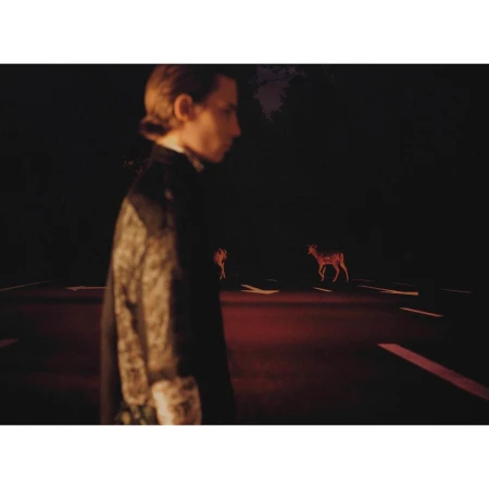 Profile of a person in formalwear in a dark setting, with two deer in the background on a road with horizontal lines.