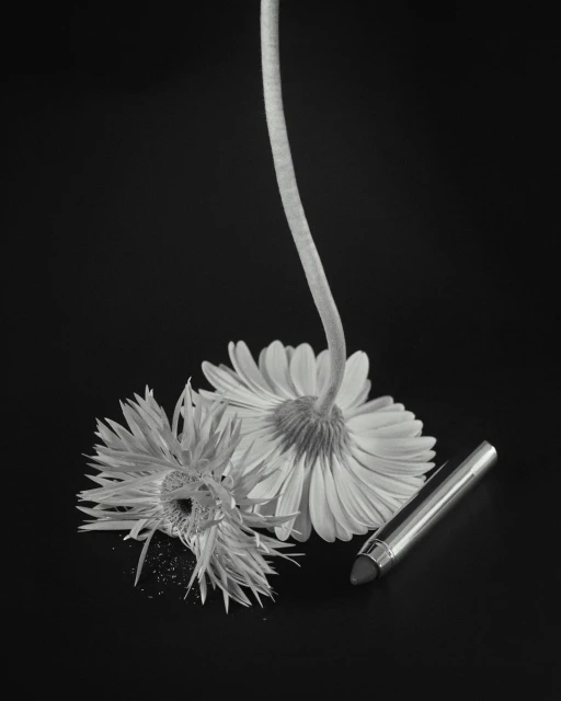 Aude Le Barbey