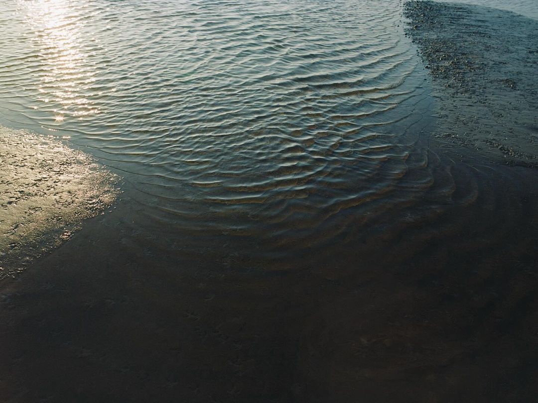 Sunlight reflecting off the rippled surface of water meeting a sandy beach shore, creating a textured and glistening waterscape.